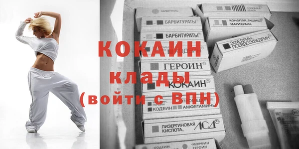 твердый Алексеевка