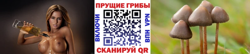 Псилоцибиновые грибы GOLDEN TEACHER  Юрьевец 